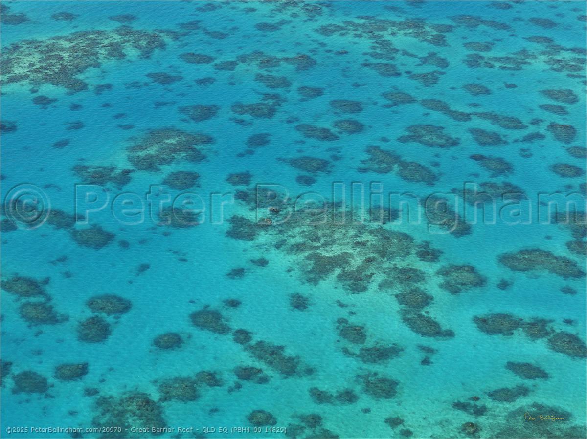 Peter Bellingham Photography Great Barrier Reef - QLD SQ (PBH4 00 14829)